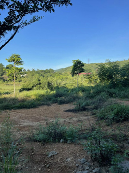 Chuyển nhượng diện tích 2627,2 m2 tại Hoà Sơn, Lương Sơn, Hoà Bình