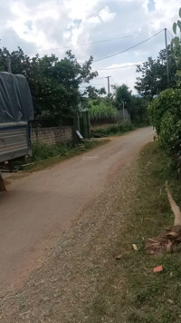 Mặt đường liên xã Hợp Phong gần trường hơn 1 triệu /mv ô tô tránh kinh doanh đỉnh mặt tiền rộng