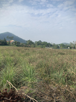 3 Lô đất tiềm năng tại Hòa Sơn mặt tiền đường rộng ngay phía sau là đường Đông Dương