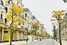 Chính chủ cần bán Thời Đại 6 mặt tiền 5m sát chung cư đường thông The Crown - Vinhomes Ocean Park 3