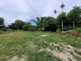 Ngân hàng thanh lý đất giá rẻ tại Hương Văn, Hương Trà