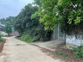 Bán gấp lô đất nghỉ dưỡng lô góc đất ngoài quy hoạch mà đẹp phải nói, giá siêu tốt