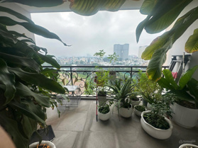 Chính chủ cần bán căn hộ CC Flemington, Q11, DT:220m2, 4PN, 4WC, full NT, giá: 14,5 tỷ (giá thật)