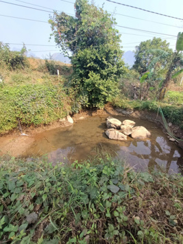 Em bán lô đất diện tích 2000m2, có 790m2 ont. Tú Sơn, Kim Bôi, Hòa Bình