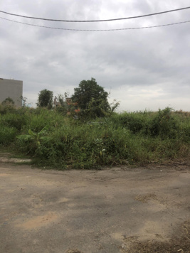 Đất rẻ đầu tư đường Bưng Ông Thoàn, Phú Hữu, Quận 9