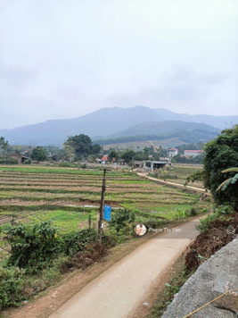 Bán 1622,7m view cánh đồng mặt tiền 30m tại hợp hoà lương sơn. Đường thông, view số 1, giá đẹp