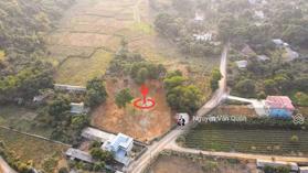 Bán gấp! 4880m2 có 400 ONT lô góc bám đường chính 50m 2 xe công tránh, gần sân gold