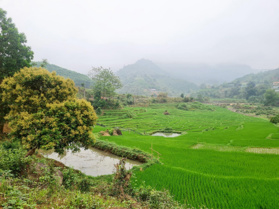 Bán lô đất đẹp tại Cao Phong, bám trục đường nhựa giá rẻ, nghỉ dưỡng quá đẹp