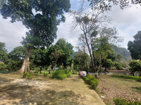 18.5 tỷ! Sở hữu 14.500m2 nhà + khuôn viên sân vườn tại Lương Sơn, cạnh nhiều homestay