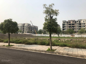 Bán rẻ lô đất đẹp LK3 Vườn Hồng, dự án Từ Sơn Garden City - Mặt sau shophouse, nhìn ra hồ
