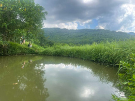 Chuyên nhượng lô đất có diện tích là 2700m tại Kỳ Sơn - Hòa Bình