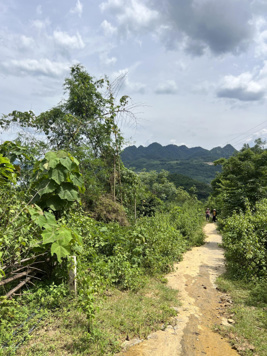 999 triệu = 1.650m2 Hiền Lương, view hồ giá ngộp, vớt cọc thời điểm vàng gom đất nghỉ dưỡng