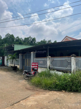 Mặt đường khai thác đá. Sân bay Long Thành