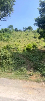 Bán 1800 m2 tại xã Cao Sơn, Lương Sơn, Hoà Bình