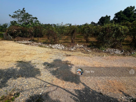 Giá chưa tới 1 triệu/m2 cho đất tại đường 21, Liên Sơn, Lương Sơn, Hòa Bình