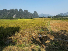 Bán đất Liên Sơn, 800 triệu vnd, 2009,2m2, pháp lý đầy đủ, mặt tiền 47m