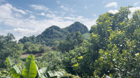 Bán đất nhà vườn nghi dưỡng - cách trung tâm TP Hòa Bình 2km, view núi suối đẹp