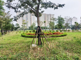 Bán đất nền dự án KĐT Tân Hồng - Đông Ngàn, giá ưu đãi 6,5 tỷ vnd, diện tích 90m2