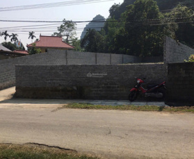 Chính chủ bán mảnh đất 410m2 mặt đường Tiên Hội (Long Tân Châu)