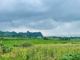 Chính chủ gửi bán lô đất view đẹp tại Cao Phong, Hoà Bình