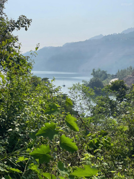 Cần bán 5000m2 view hồ Hoà Bình, bám suối to, QTLH 0984 952 921