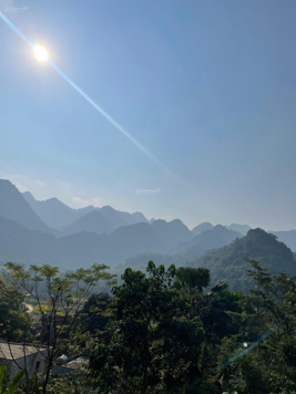 Bán cắt lỗ sâu lô 4025m2 đất nghỉ dưỡng Tân Lạc. Giá chốt luôn 1,2 tỷ, QTLH 0984 952 921