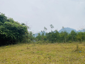 Đất hiền lương chắc không ai bán rẻ như em lô đất rẻ nhất KV DT rộng 5000m2 có 400m2 TC giá 1,79 tỷ