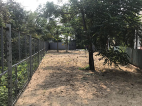 Bán 218m2 mặt tiền đường Số 1, Long Phước