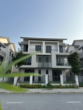Bá Vũ có biệt thự đẹp tại khu Centa Riverside VSIP Bắc Ninh, trả trước 30% miễn gốc miễn lãi 1 năm