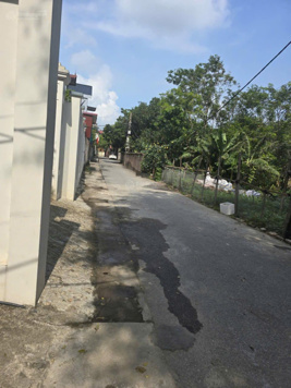 Chính chủ bán 55,5m2 đất Trí Quả Thuận Thành - MT 4,2m đường ô tô 7 chỗ - giá chỉ 1,x tỷ