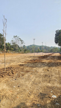 Chính chủ cần tiền bán gấp mảnh đất cạnh QL12B, cách ngã 3 chợ Mía đường mòn HCM giao QL12B chỉ 3km