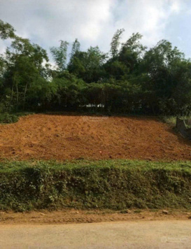 Cần chuyển nhượng siêu phẩm nghỉ dưỡng tại Lương Sơn _hòa bình