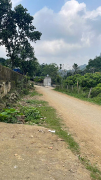 Chỉ 660 triệu có ngay 318m2 đất ở nông thôn thuộc xã Thanh Sơn, Lương Sơn, Hoà Bình