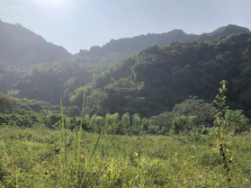 2887,2 m2 tại Cao Sơn, Lương Sơn, Hoà Bình