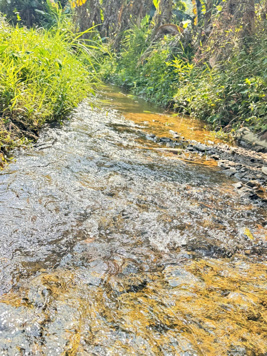 Siêu phẩm nghỉ dưỡng có ao có suối phải nói là đẹp miên man tại Vầy Nưa, Đà Bắc, Hòa Bình