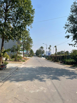 Chính chủ nhờ bán nhanh lô đất đẹp tại Phương Vỹ, Vũ Ninh nhìn KĐT Phúc Ninh