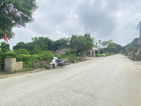 Bán gấp đất tại Cư Yên, Lương Sơn, Hòa Bình, 2,8 tỷ, 588 m2