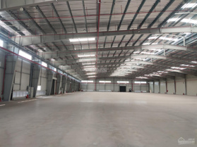 Cty Hoa Phượng cho thuê kho, xưởng KCN Tân Kim, Có kho tự quản và kho dịch vụ (300m2 đến 45.000m2)