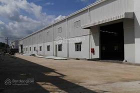 Cần cho thuê kho xưởng khu công nghiệp Thuận Đạo Long An