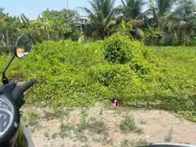 Bán gấp đất Đ. Phạm Thị Mai, gần chợ Phường 1, Cà Mau DT 120m2 SHR