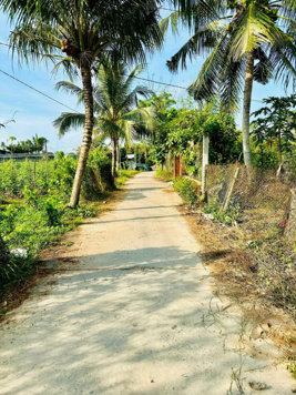 Bán đất chính chủ 978.2m2 - 2 MT đường liên xã, gần UBND xã Long Thới, chợ Lách, Bến Tre