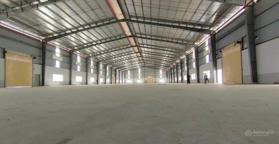 Cho thuê kho xưởng mới xây 3000m2 tại CCN Hải Sơn, Đức Hòa Đông, Long An