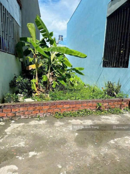 Cần ra gấp lô đất ngộp Giá 360tr/110m2 cách Đ. Đoàn Hoàng Minh 50m gần sân vận động Bến Tre. SHR.