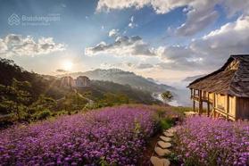 0944 333 637 Sapa đất sẵn bìa thổ cư đường vào ga cáp treo