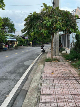 Siêu phẩm KDC 100m2. SHR TC100%. Ngay đường Phạm Ngọc Thảo. Cách quảng trường Bến Tre 500m