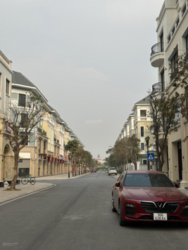 Bán nhanh căn SH Vinoceanpark 2 kế cận Little Honkong, vài bước chân biển hồ 98m2 chỉ 127tr/m2