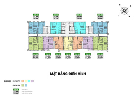 Ra mắt căn hộ hạng sang Thiên Ân Central ngay gần Go Bắc Giang giá đợt 1 từ 35 tr