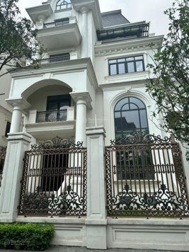 Quỹ 6 căn ngoại giao biệt thự The Zei, diện tích đa dạng 265-330m2, xây 4 tầng 1 hầm, LH 0916 331 246