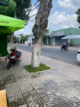 Bán đất mặt tiền đường Mạc Văn Thành