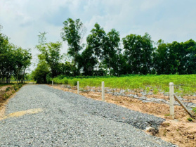 Bán nhanh 1000m2 đất vườn tại Tân Phong, Tân Biên, công chứng trong ngày